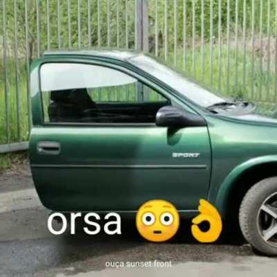 Orsa rebaixado