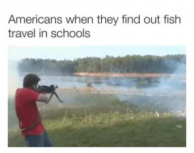 Insert title of meme here