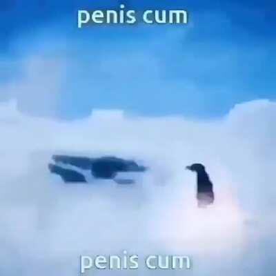 CUM