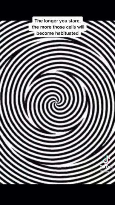 I’ll never look at painting the same way again