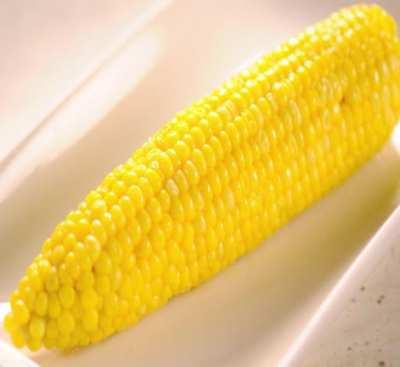 Corn on the cob