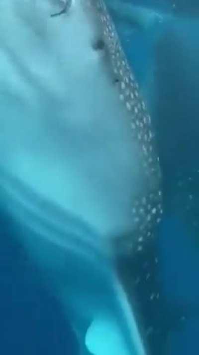 I don't think running was an option.... 