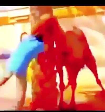 Hmmmm bolo de murango