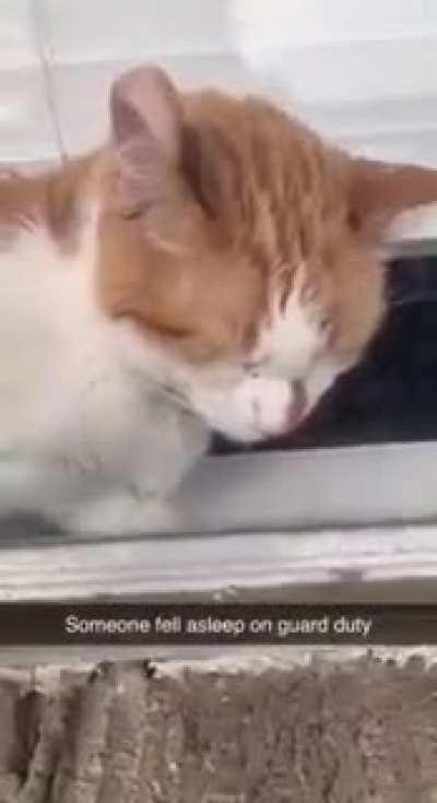 Don&rsquo;t sleep on guard duty