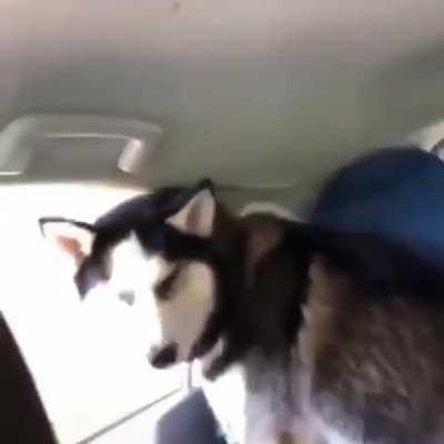 Remember to lock the windows!!!