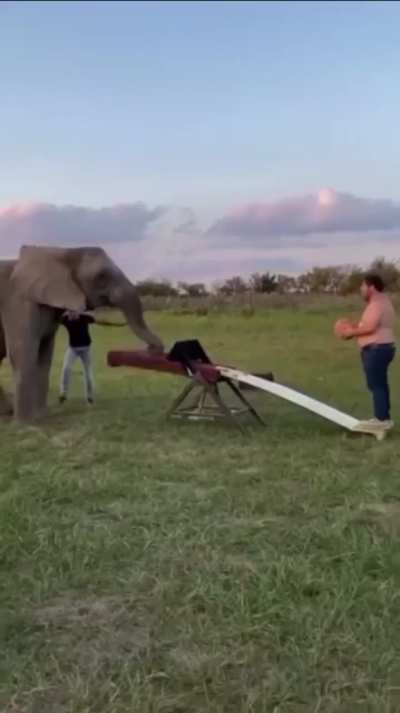 I’m so tired of this land phobic world