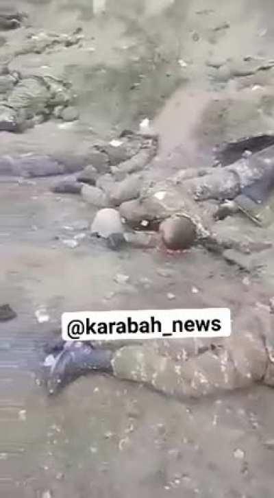 The massacre of Armenian soldiers near Shoushi. How could this happen? We need an answer from RA and RA military authorities.