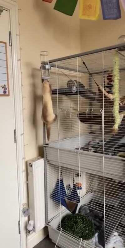 And just like that, the water was gone!