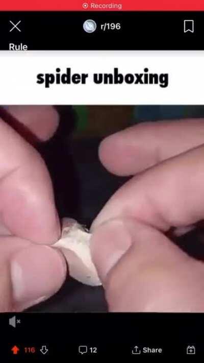 Thanks I hate spider unboxing