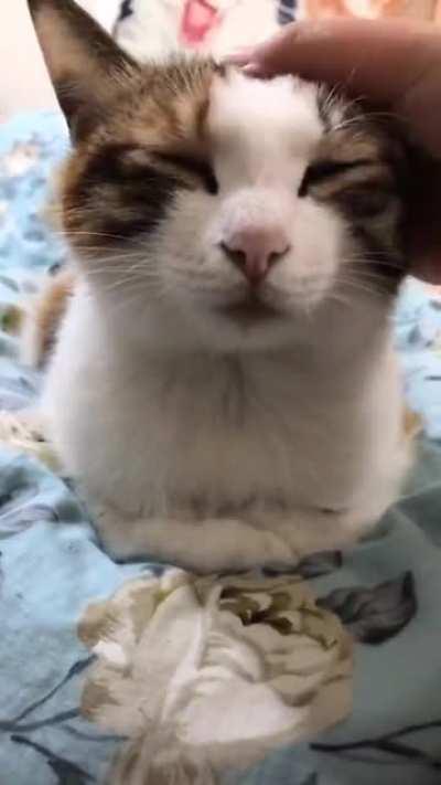 Literally stopped working.