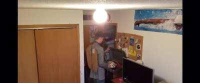 HOW TO BE A MOTH BE LIKE: