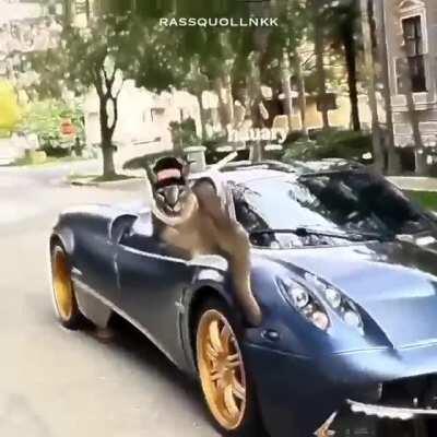 Omg!!! Such a floppy!!!