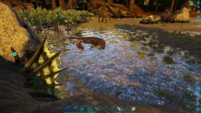 Fight of the century