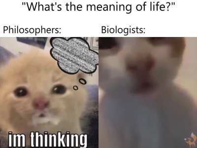Biologist wunk