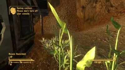 Papa Khan is regretting that extra gecko slider right now