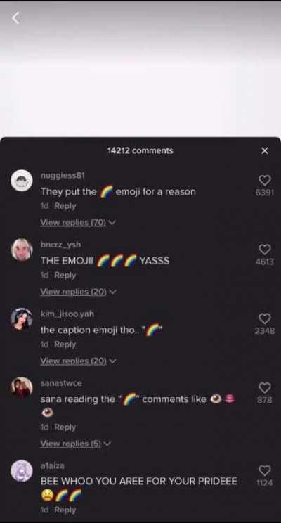 The comments section, I- 🌈