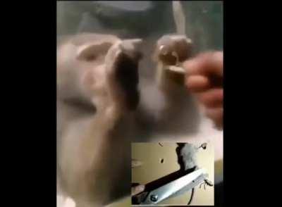 Momentul trist de Romania 😔 vreau sa fut imi place mult sa fut 😤