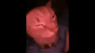 how it feels to listen to persona music on shuffle