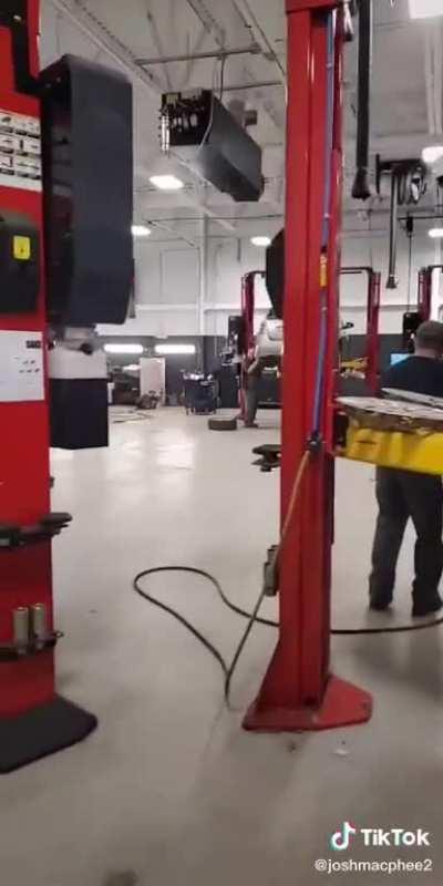 When you work with a bunch of animals