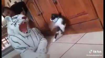 HeLpLeSs KiTtY mAuLeD bY ViCiOuS TiGeR