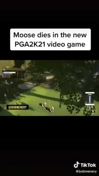 F in the chat for moose