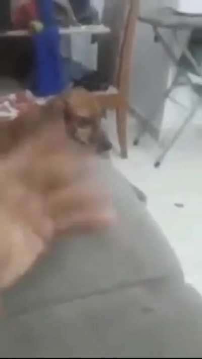 ESTILOZAP - Video #8223