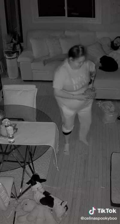 This whole video is utter chaos. Don’t miss the dog humping the pillow!