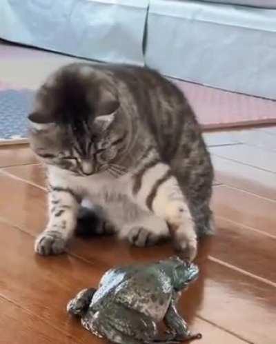 It is Wednesday, my dudes!