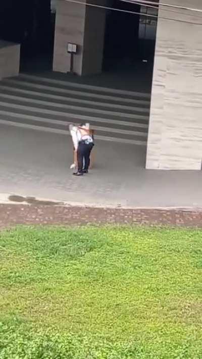 Kitten is teasing him