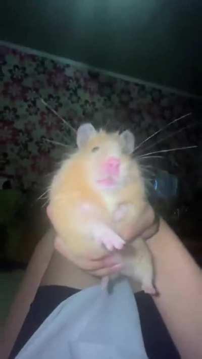 Taking a break, my grandpa died