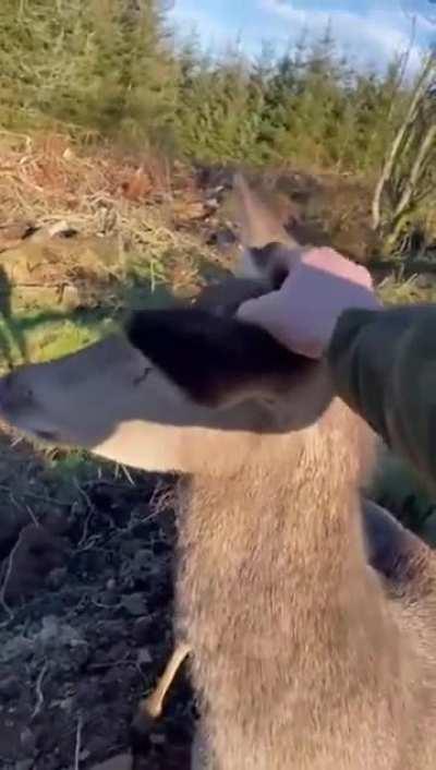 Hunter not sure what to do now