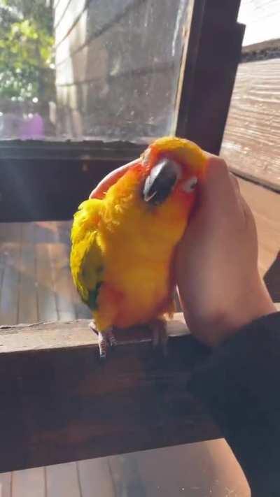 Shufflin' in for some love