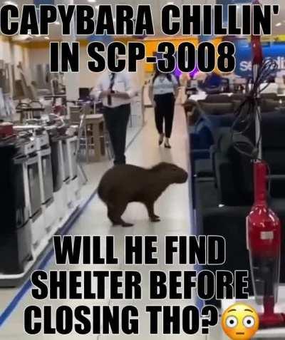 I wonder what he will purchase