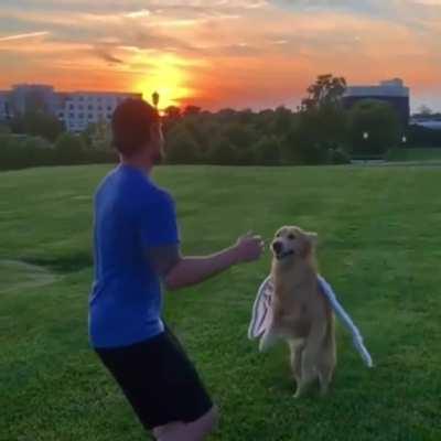 anGEl tURnS DEMON And atTackS A MAN AnD SEndS HiM stRaIGhT To helL