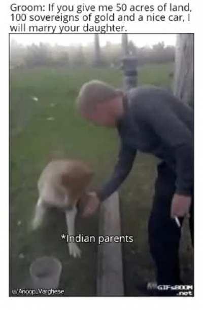 You got yourself a deal son!!!