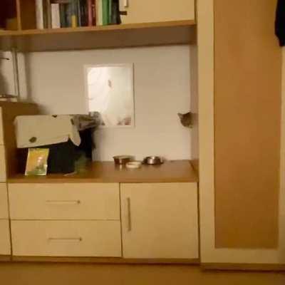 The look of true betrayal