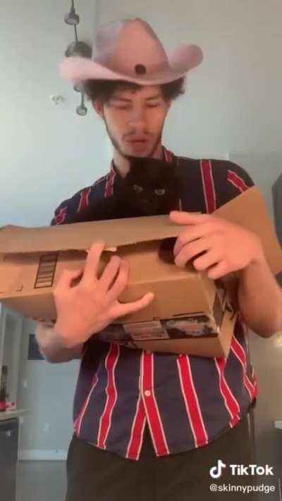 What in TikTarnation