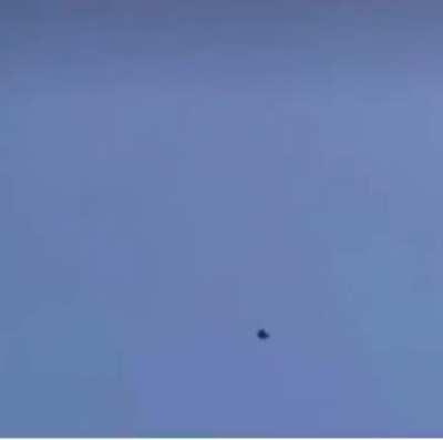 It strikes its prey with a clenched foot, stunning or killing it with the impact, then turns to catch it in mid-air. If its prey is too heavy to carry, a peregrine will drop it to the ground and eat it there