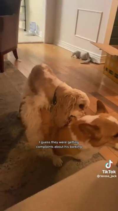 Dog being a little too loud? Harm it using surgery to make it slightly less loud, in the name of capitalism.