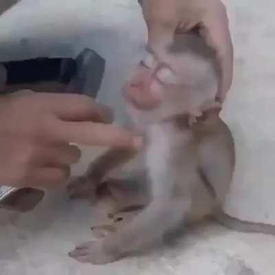 Peruano fresco 😳😳😳😳🔥🔥