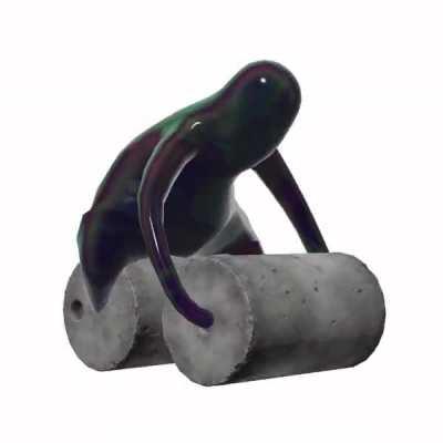 What is the water wraith doing? (from nintendo website)