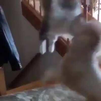 Be careful... one day they might turn on you