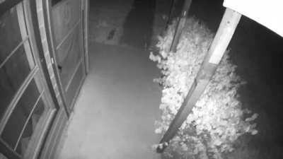 One knock at 4am makes kid terrified, that's just a doorbell mount too.