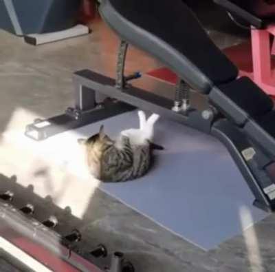 Training for the next assignment