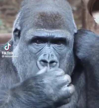 He tried to be Sly with it 