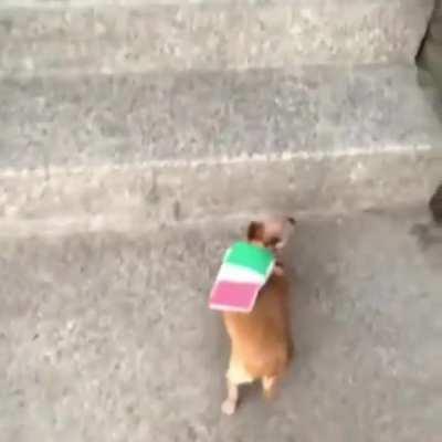 LoCaL sPaNiSh PeForMeR “eL tOrPe” KiLlEd In StUnT *sUpEr FUCKING gRaPhIc*