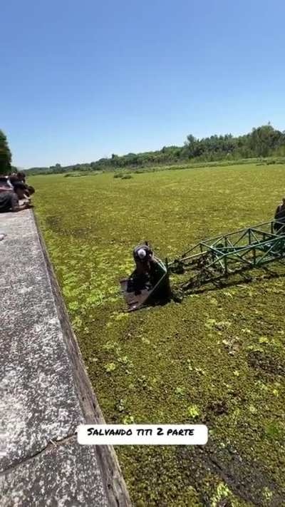 Se le cayó el perro en el lago de la reserva ecológica de Puerto Madero y un hombre con una maquinaria anfibia ayudó a rescatar al canino