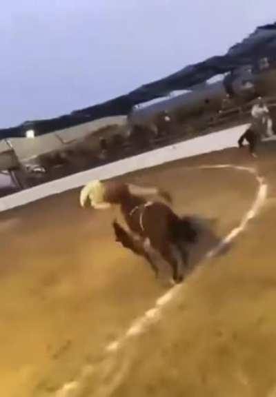 This is how you slam a horse, JJ.