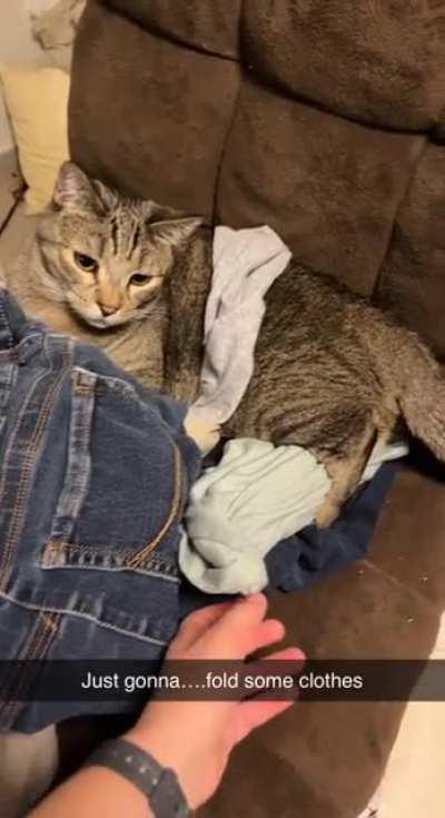 Khajiit will protect his wares from theft