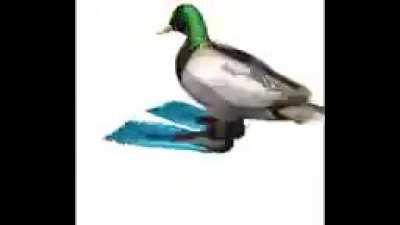 sALT and wEEEEEEEEEEEEEEEEEEEEEEEEEEEEEE